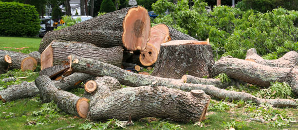 Best Lawn Maintenance Plans  in Progress, PA